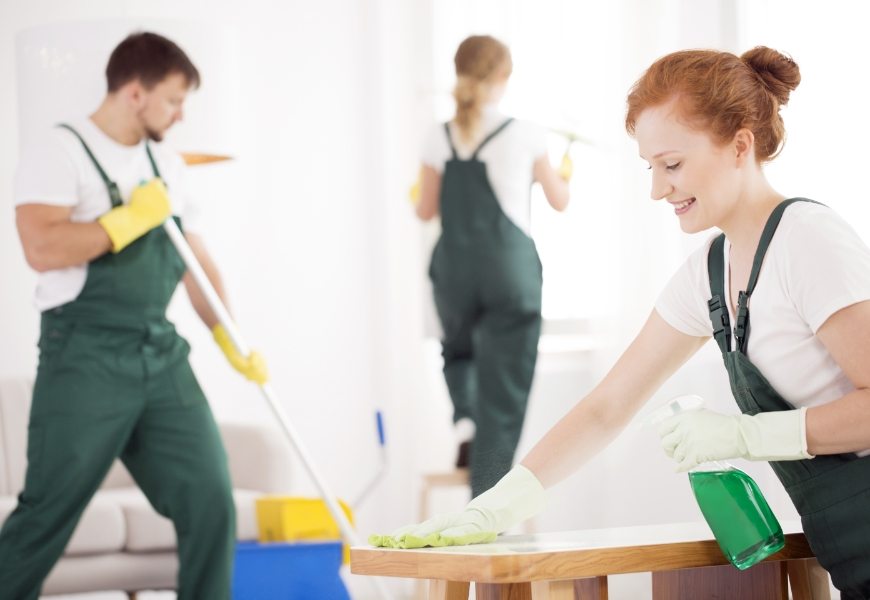 Dushu Cleaning services